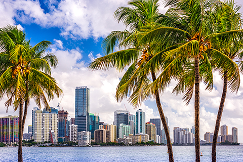 This is a stock photo. An image of a Miami Beach skyline in Miami, Florida.